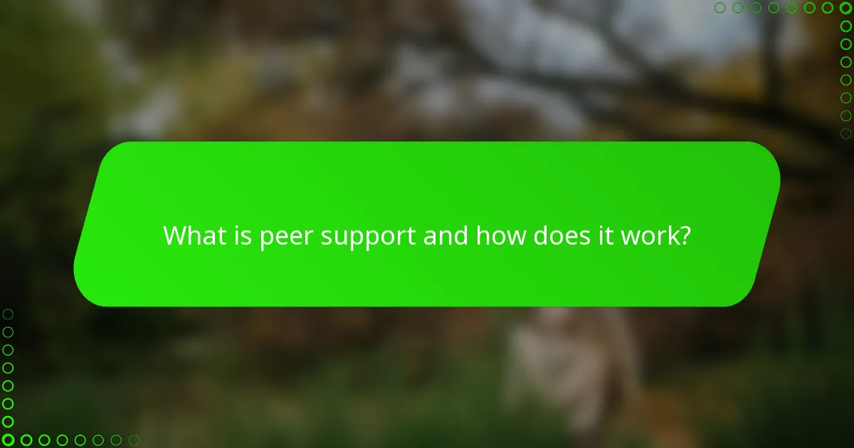 What is peer support and how does it work?