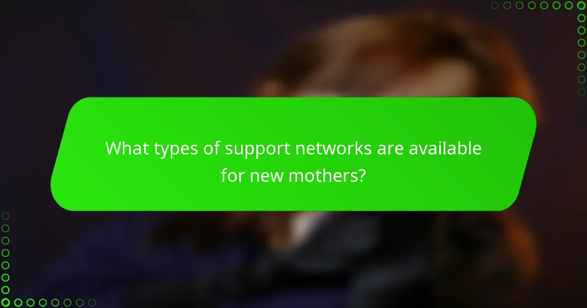 What types of support networks are available for new mothers?