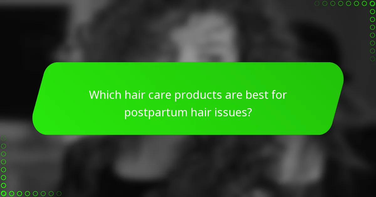 Which hair care products are best for postpartum hair issues?