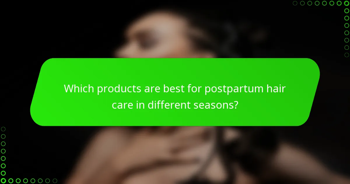 Which products are best for postpartum hair care in different seasons?